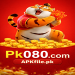pk080 Game Immage